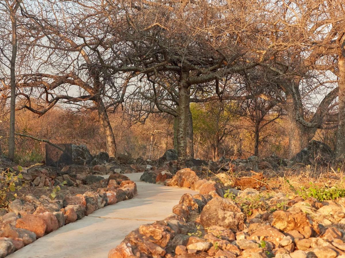 Zuricamp - Tent Zahir Tsumeb Bagian luar foto